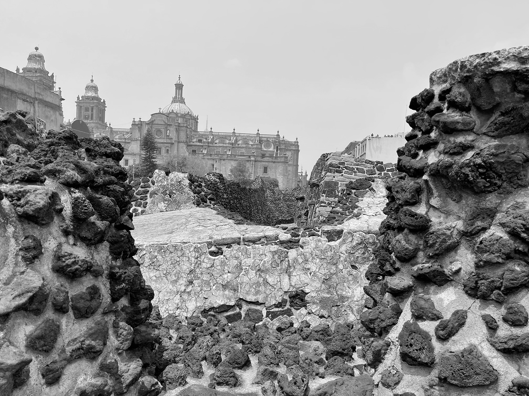 20220408_04_bw